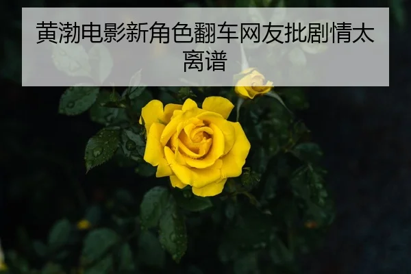 huang-bo-dian-ying-xin-jue-se-fan-che-wang-you-pi-ju-qing-tai-li-pu-2-578.jpg