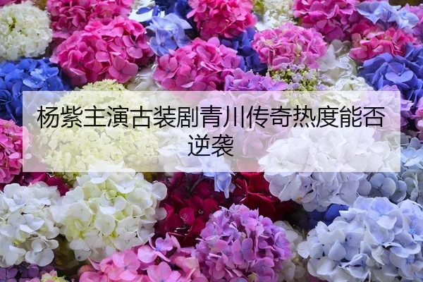 杨紫主演古装剧青川传奇热度能否逆袭